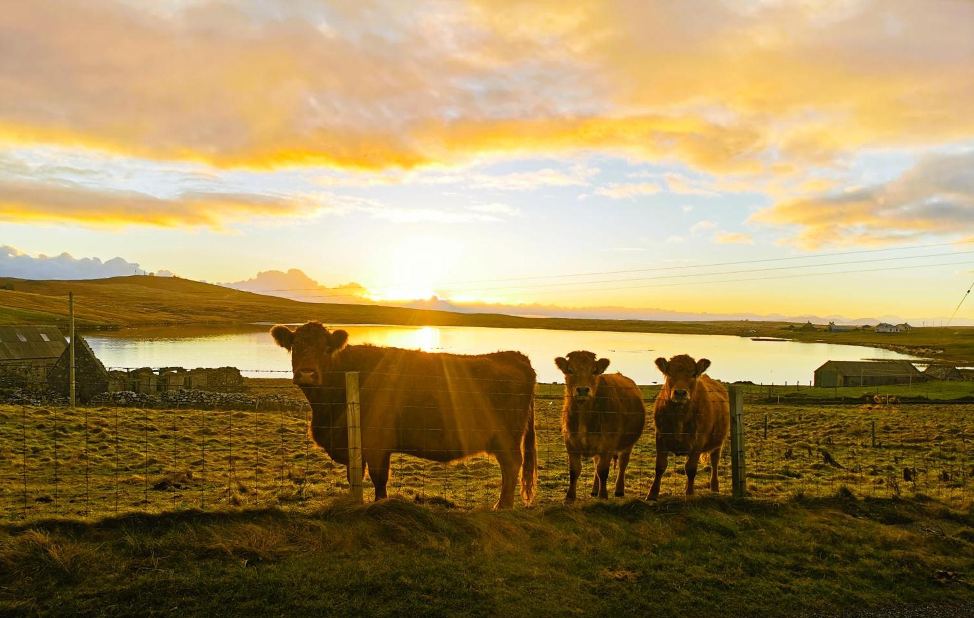 North Uist Lodges Tigharry Kültér fotó