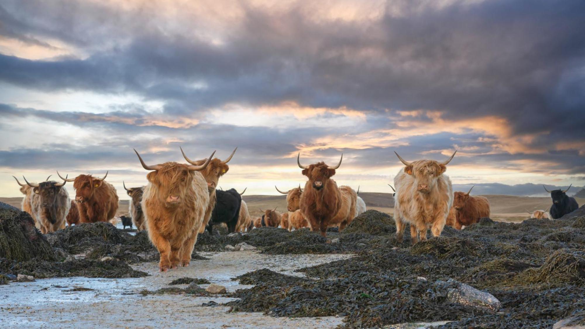 North Uist Lodges Tigharry Kültér fotó