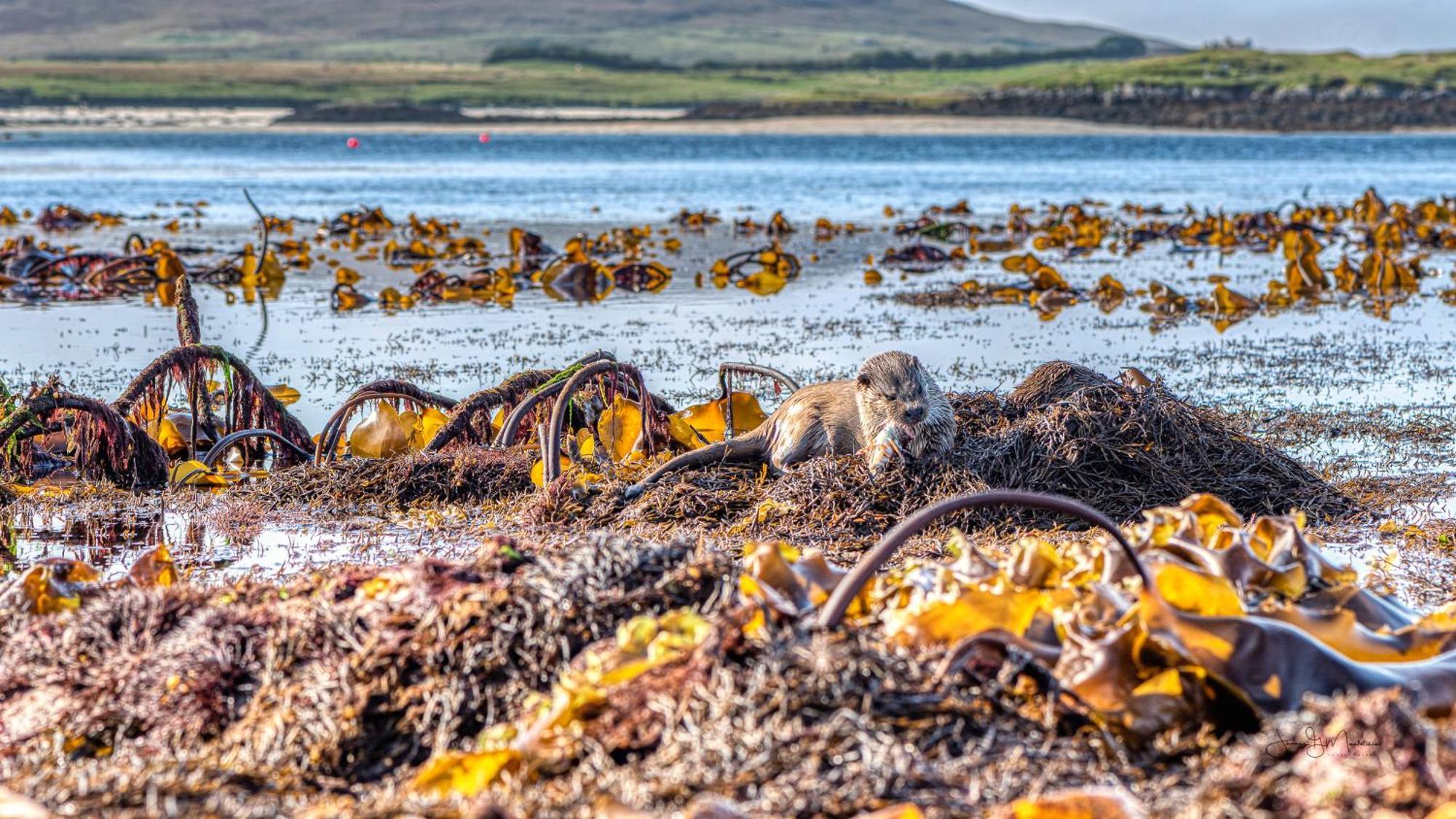 North Uist Lodges Tigharry Kültér fotó